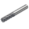 R215.3A-10030-AC22H 1610 Fresa