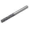 RA215.26-2450DAL27L 1620 Fresa