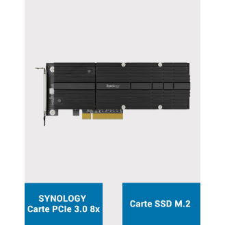 Synology Carte d'extension SSD M.2-Lire la description