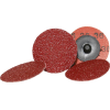 Mini-Schleifscheibe ARY 19 BDX Ø50 P36