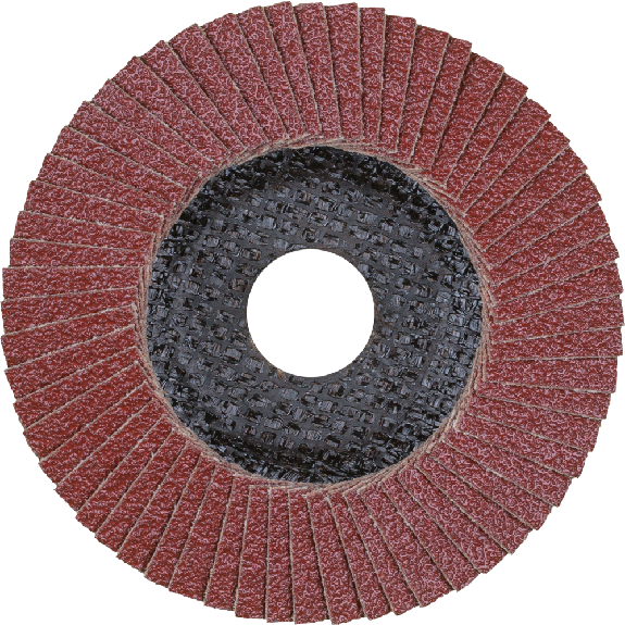 Fächechleifscheibe A 80SG gewölbt 115mm K80 Fächechleifscheibe A 80SG gewölbt 115mm K80-Beschreibung lesen