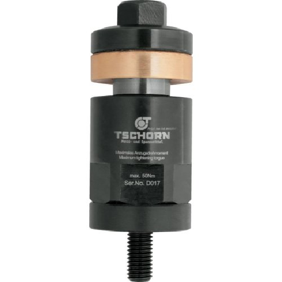Spannbolzen 50mm Gewinde M10 TSCHORN Spannbolzen 50mm Gewinde M10 TSCHORN-Beschreibung lesen