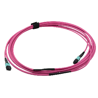VALUE Câble MPO Trunk 50/125µm OM4, MPO / MPO, violet, 3 m-Lire la description