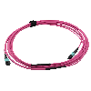 VALUE Câble MPO Trunk 50/125µm OM4, MPO / MPO, violet, 3 m