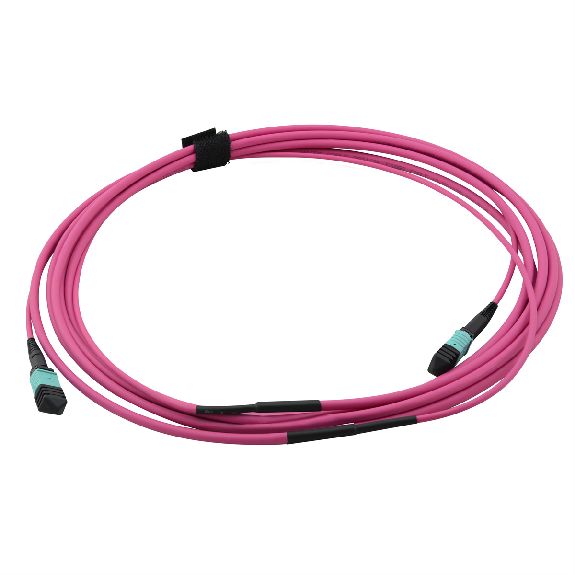 VALUE Câble MPO Trunk 50/125µm OM4, MPO / MPO, violet, 3 m-Lire la description