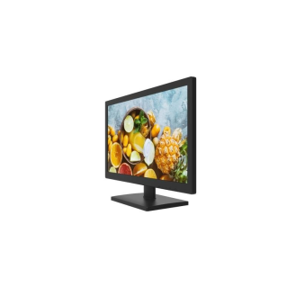 DS-D5019QE-B(EU), 18.5 (47cm), LCD/TFT Monitor, LED, 1366x768,  HDMI/VGA, 100-240VAC, schwarz-Beschreibung lesen