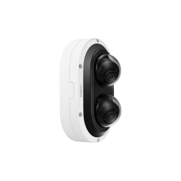 Netzwerk Multidirektional IR Dome PNM-12082RVD-Beschreibung lesen