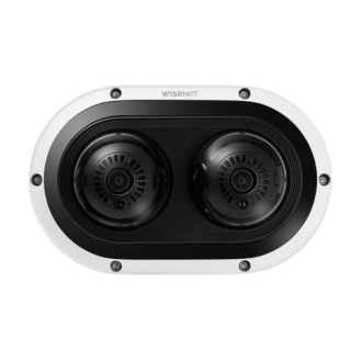 Netzwerk Multidirektional IR Dome PNM-12082RVD-Beschreibung lesen
