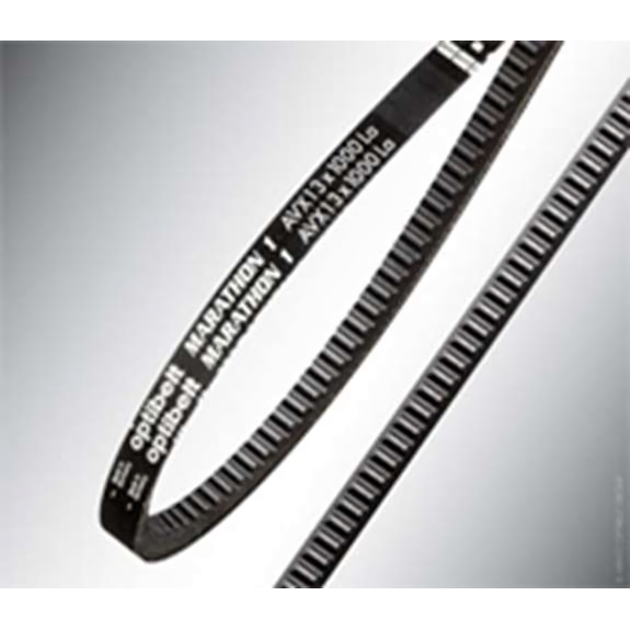Marathon x avx 10 x 1125 V -Belt - Tabriques de flanc, interconnectés-Lire la description