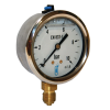 mano.216 D63mm 0 à 10b gly. inox rac.vert 8x13 Réf2163RV14D