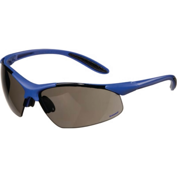 Schutzbrille DAYLIGHT PREMIUM EN 166 Bügel dunkelblau, Scheibe smoke Pol-Beschreibung lesen