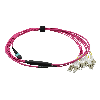 VALUE MPO-Fanout-Kabel 50/125µm OM4, MPO/12x LC, violett, 2 m