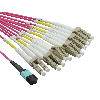 VALUE MPO-Fanout-Kabel 50/125µm OM4, MPO/12x LC, violett, 2 m