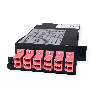 VALUE Module MPO, MPO mâle / 12x LC femelle