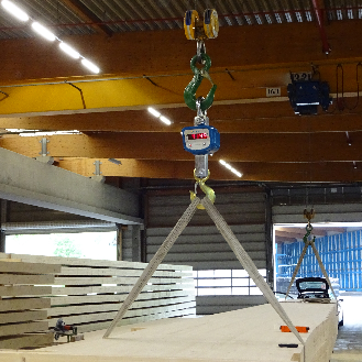 PCE Instruments Kranwaage  PCE-CS 10000N |Wägebereich: 10.000 kg |Auflösung: 5 kg-Beschreibung lesen