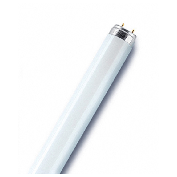 Leuchtstofflampe LUMILUX T8, G13, 18 W / 865, Cool , 59 cm-Beschreibung lesen