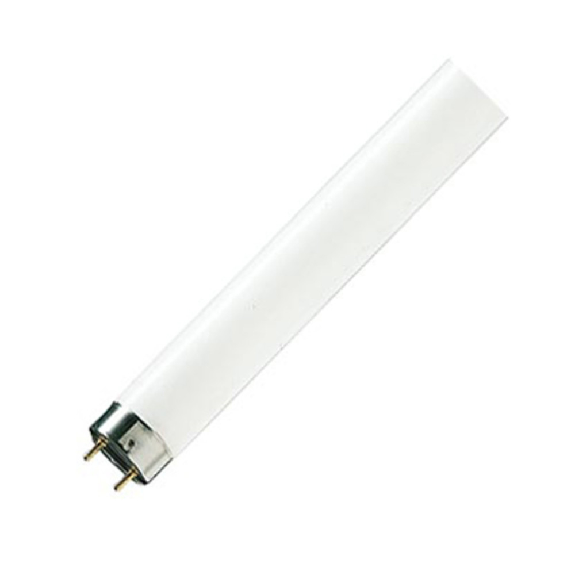 Leuchtstofflampe ER TL-D Super 80, G13, 36 W/840, 121,36 cm-Beschreibung lesen
