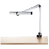 Büroleuchte DIVA900 PTLE18 4000 Kelvin
