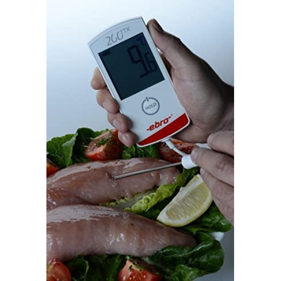 Thermometer kalibriert EBRO TTX 200 kalibrierzertifikat akkreditiert (akzeptiert von DAkkS)-Beschreibung lesen